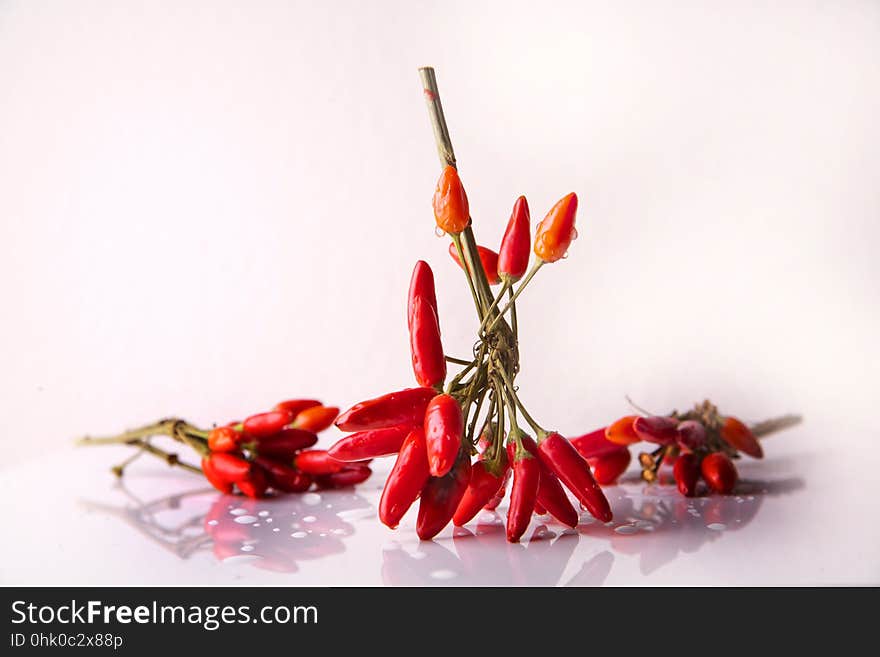 Chili Pepper, Bell Peppers And Chili Peppers, Flower, Bird's Eye Chili