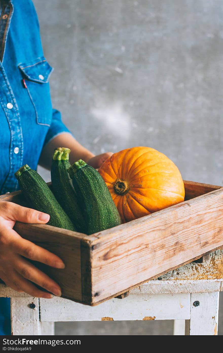 A Girl In A Blue Dress Is Holding An Autumn Harvest