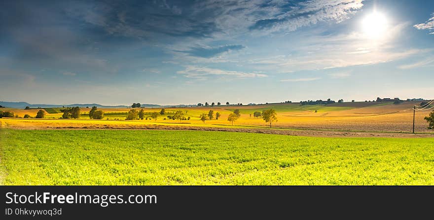 Sky, Grassland, Field, Yellow