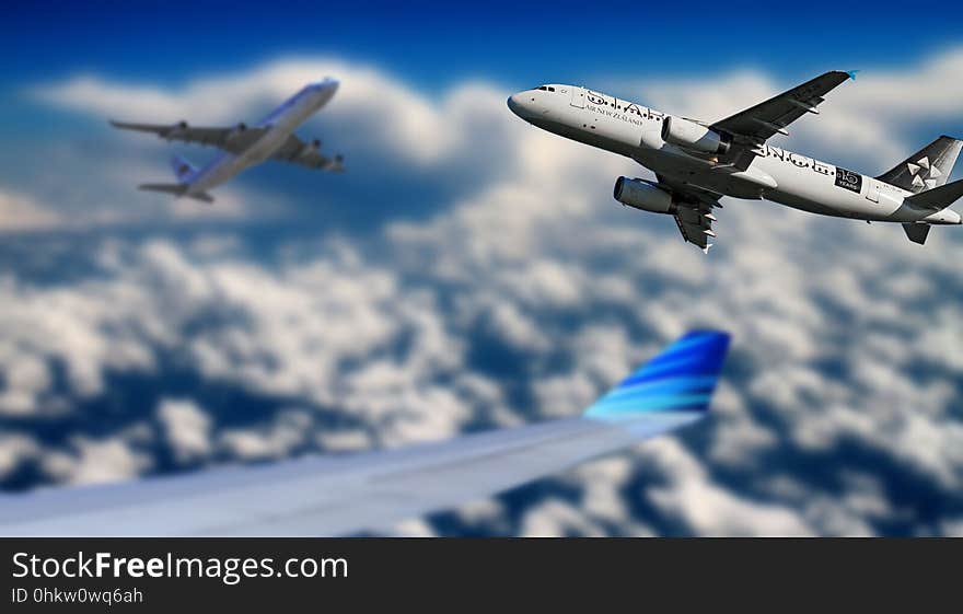 Airline, Sky, Airplane, Air Travel