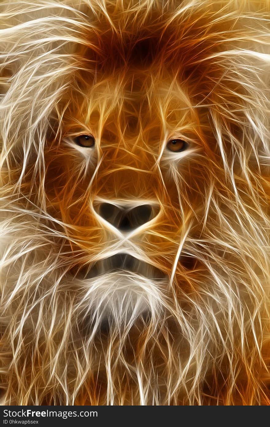 Wildlife, Lion, Mammal, Whiskers