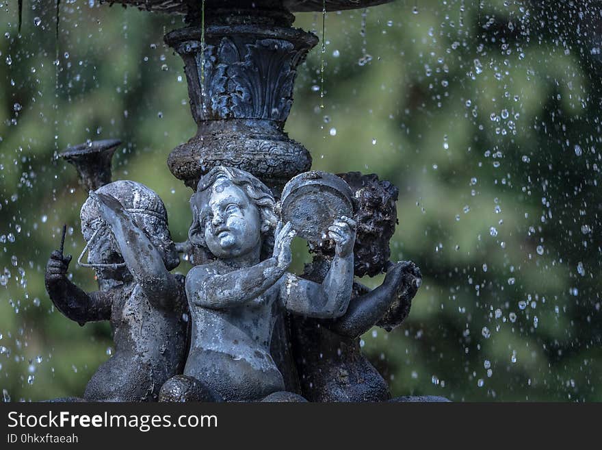 Water, Statue, Tree, Sculpture