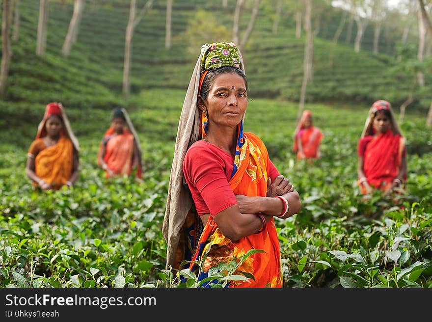 People, Plant, Tribe, Agriculture