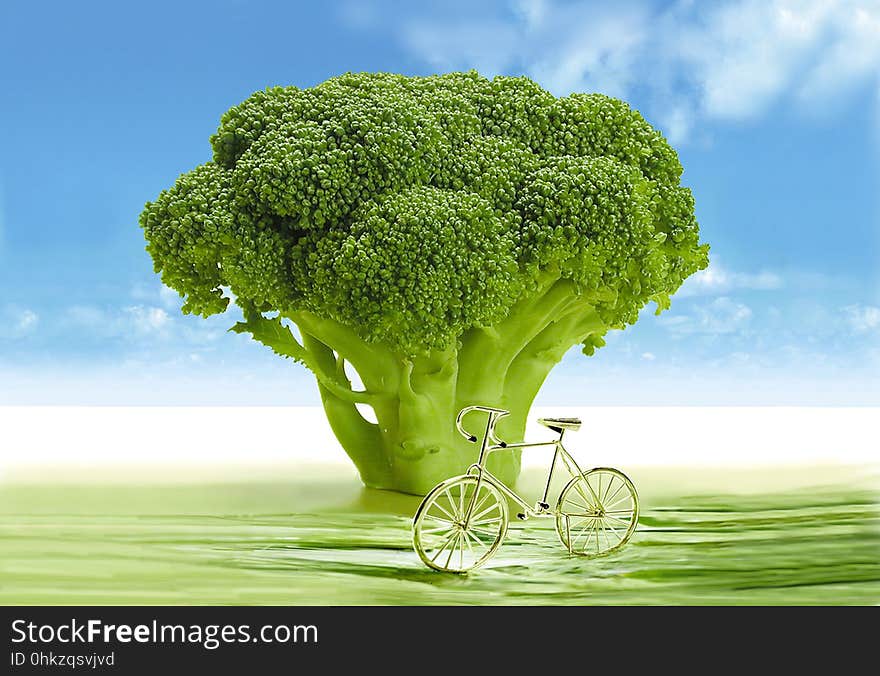 Green, Grass, Sky, Tree