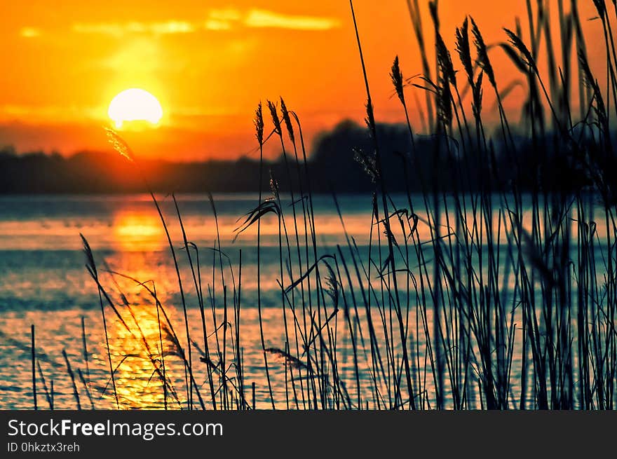 Sky, Water, Calm, Sunset