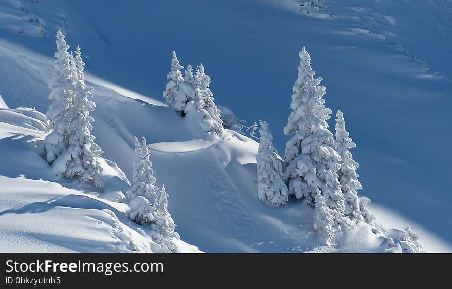 Winter, Mountainous Landforms, Sky, Tree