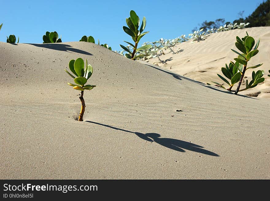 Sand, Aeolian Landform, Singing Sand, Dune