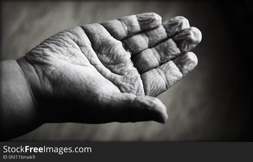 Black And White, Hand, Monochrome Photography, Finger