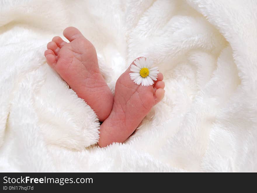 Skin, Nose, Foot, Infant