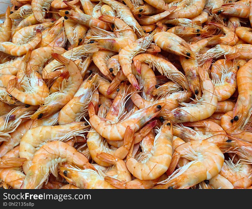 Shrimp, Seafood, Dendrobranchiata, Caridean Shrimp