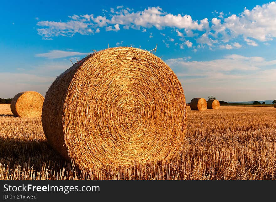 Hay, Sky, Field, Straw