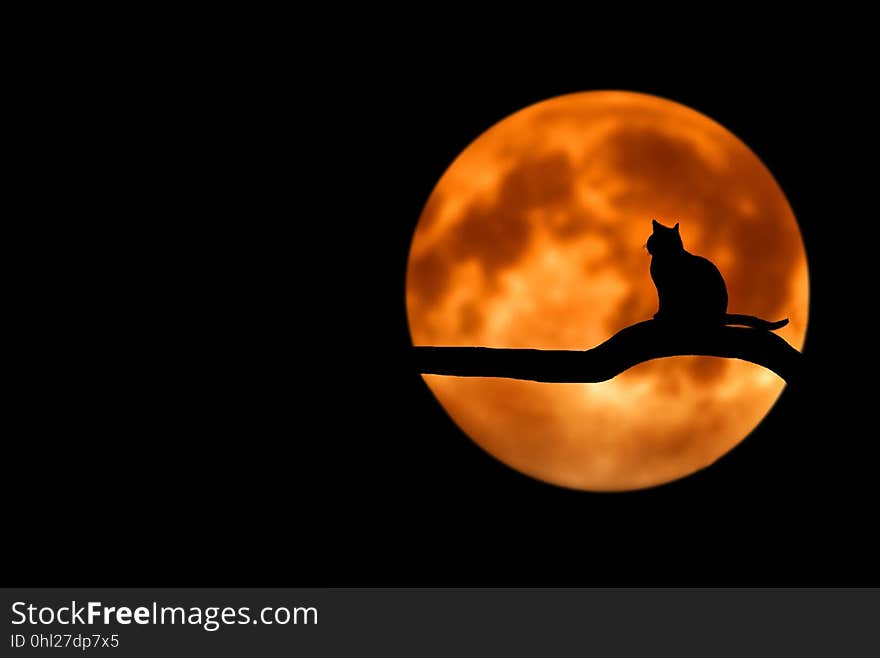 Sky, Computer Wallpaper, Moon, Darkness