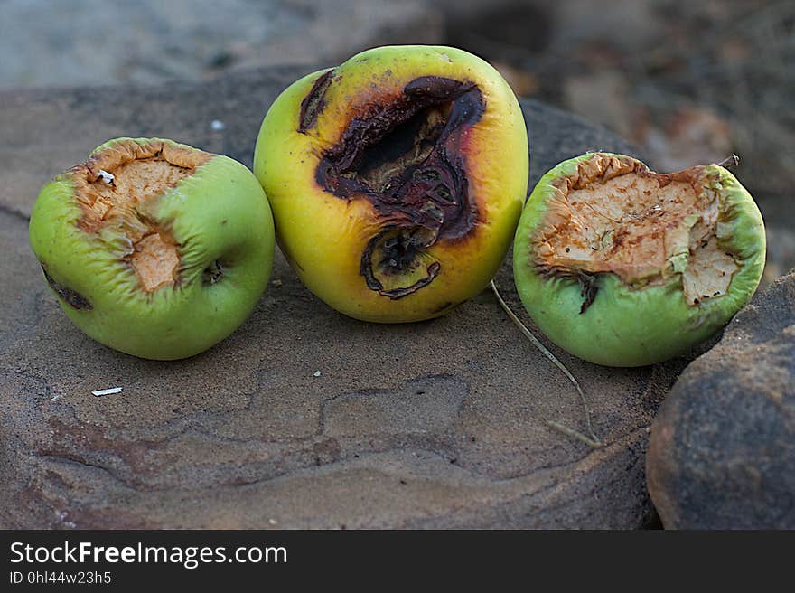 Geriatric Apples, Not Pretty