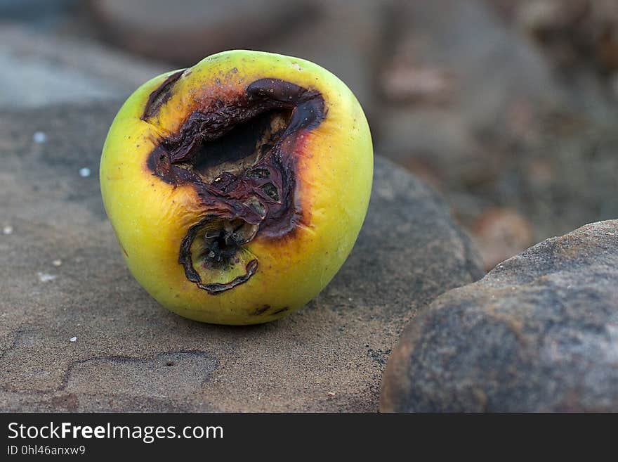 This apple not looking very attractive. This apple not looking very attractive.