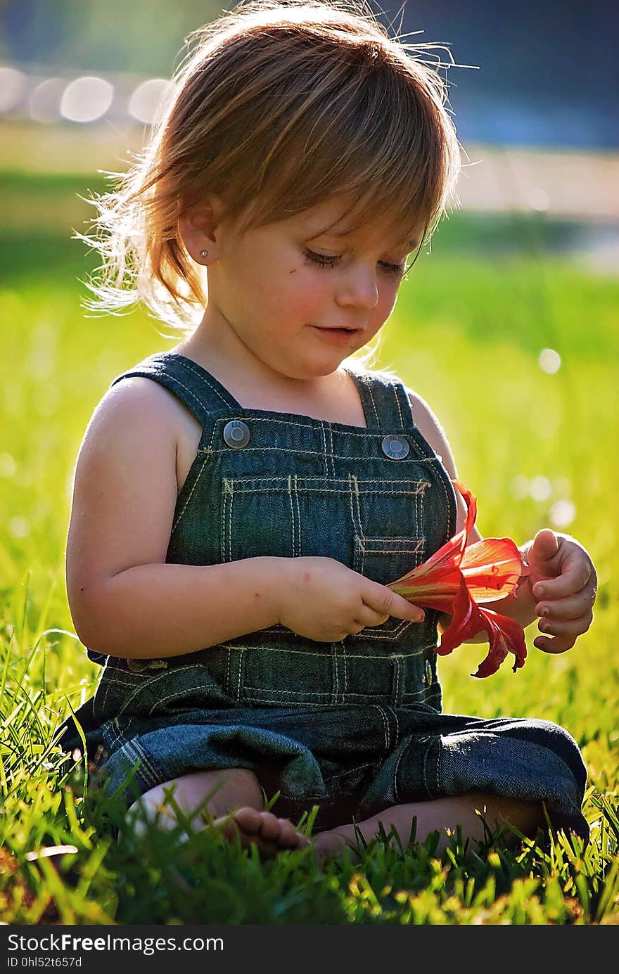 Child, Skin, Grass, Sitting