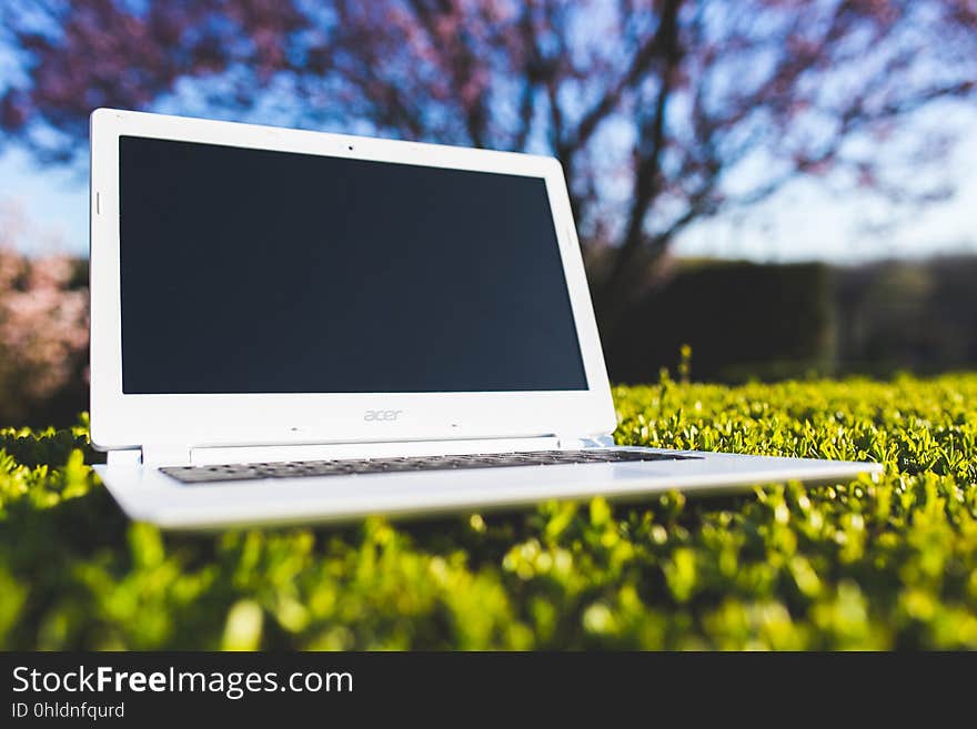 Technology, Laptop, Grass, Electronic Device