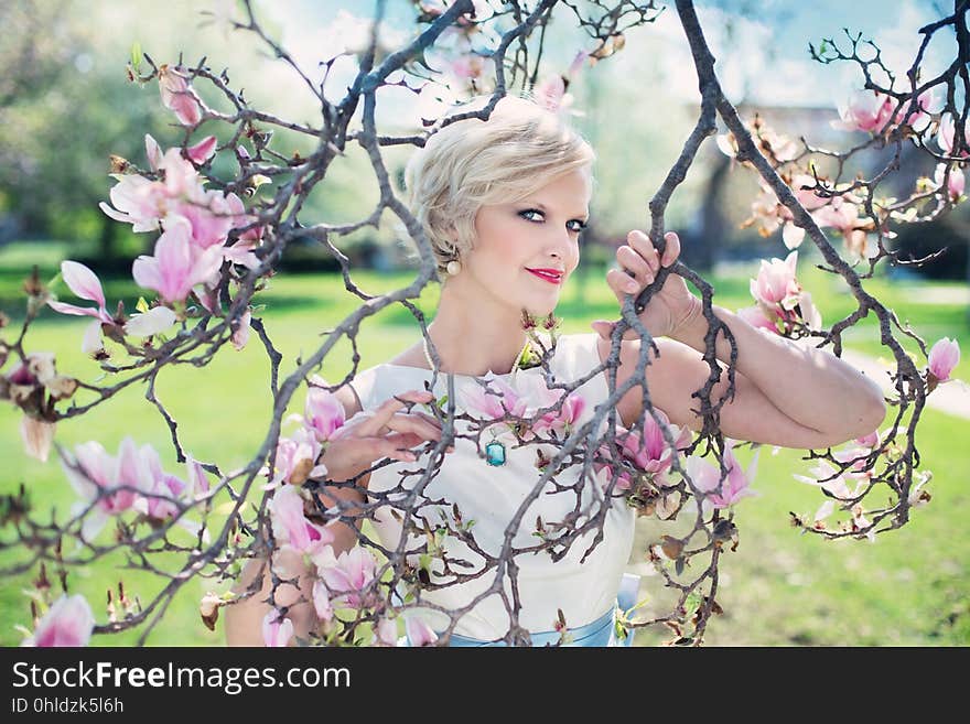 Pink, Flower, Blossom, Branch