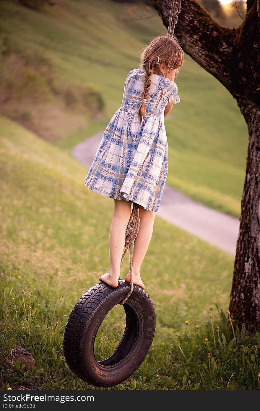 Photograph, Nature, Beauty, Grass