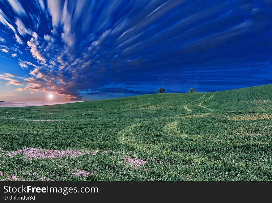 Sky, Grassland, Ecosystem, Field