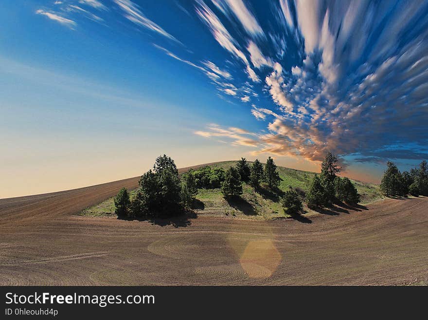 Sky, Cloud, Nature, Ecosystem