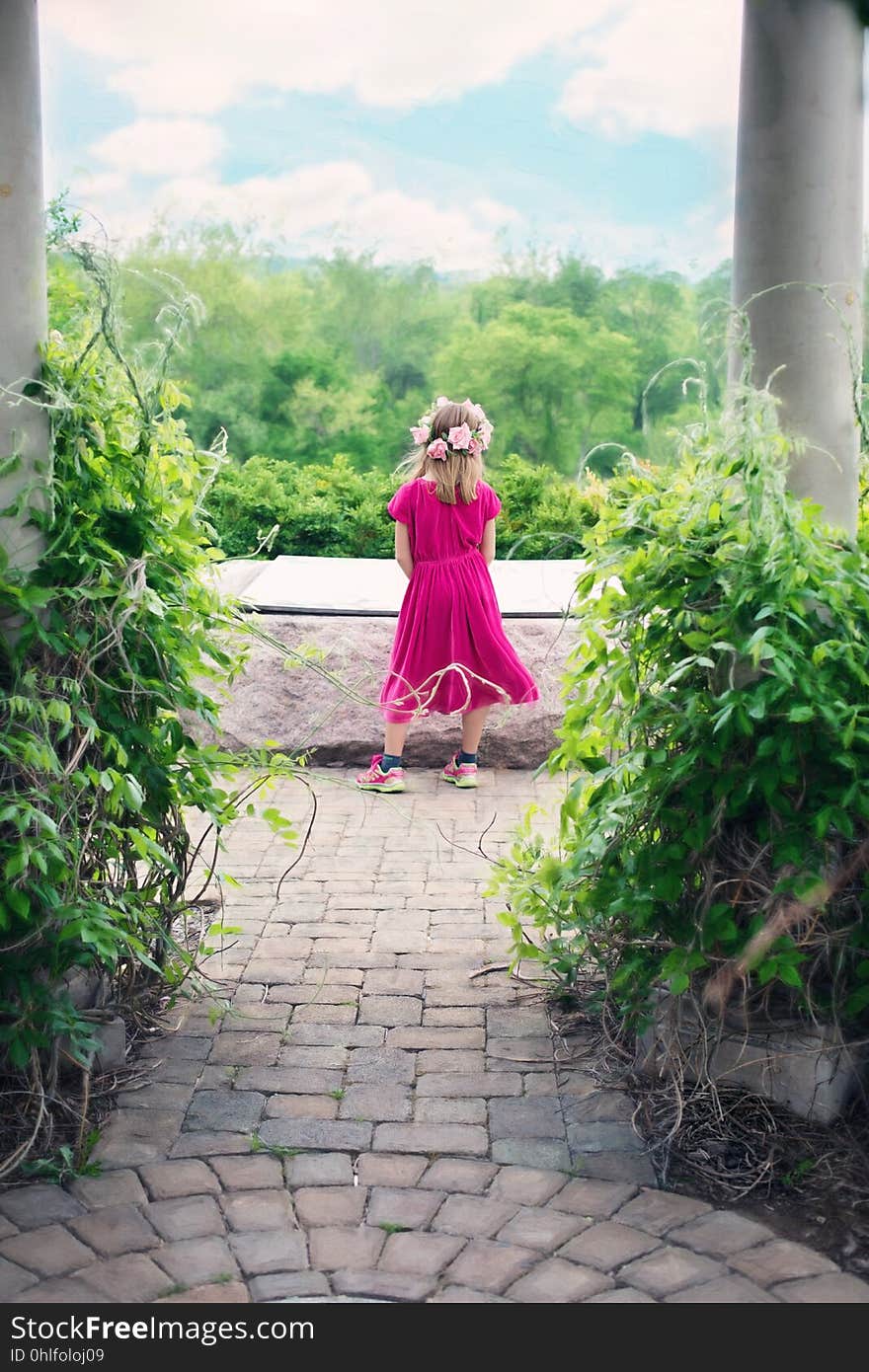 Photograph, Pink, Flower, Dress