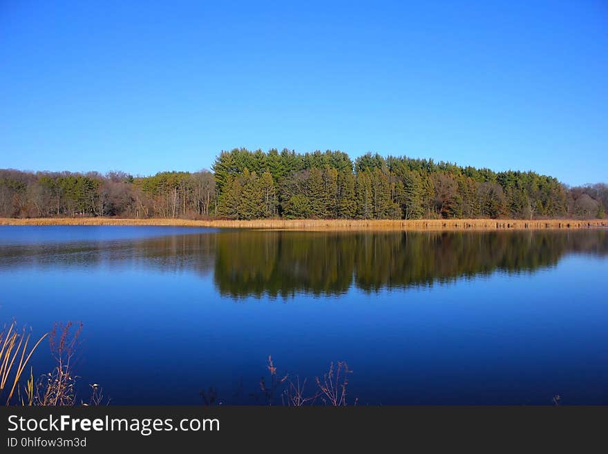 Reflection, Water, Nature, Lake