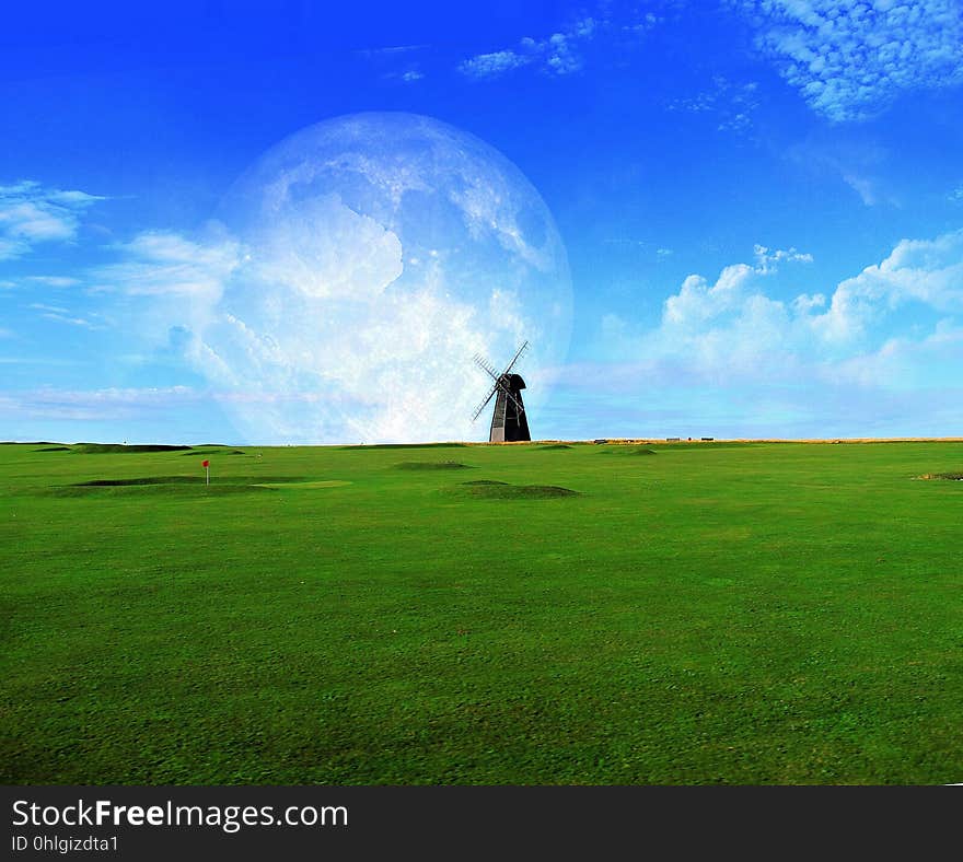 Grassland, Sky, Green, Ecosystem