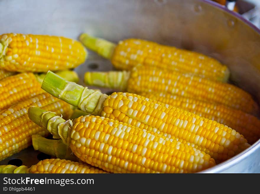 Sweet Corn, Corn On The Cob, Vegetarian Food, Maize