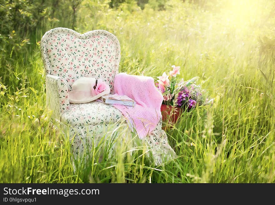 Pink, Grass, Meadow, Flower