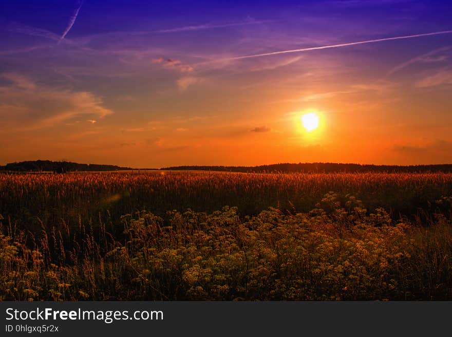 Sky, Ecosystem, Field, Afterglow