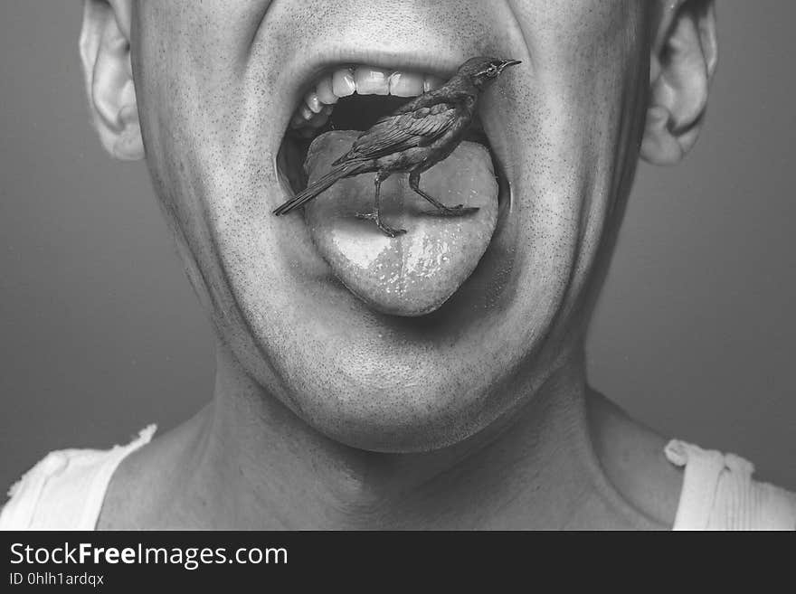 Lip, Face, Black And White, Nose