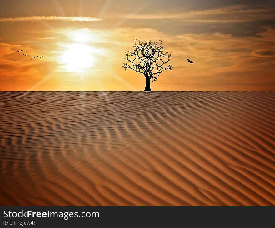 Sky, Erg, Desert, Landscape