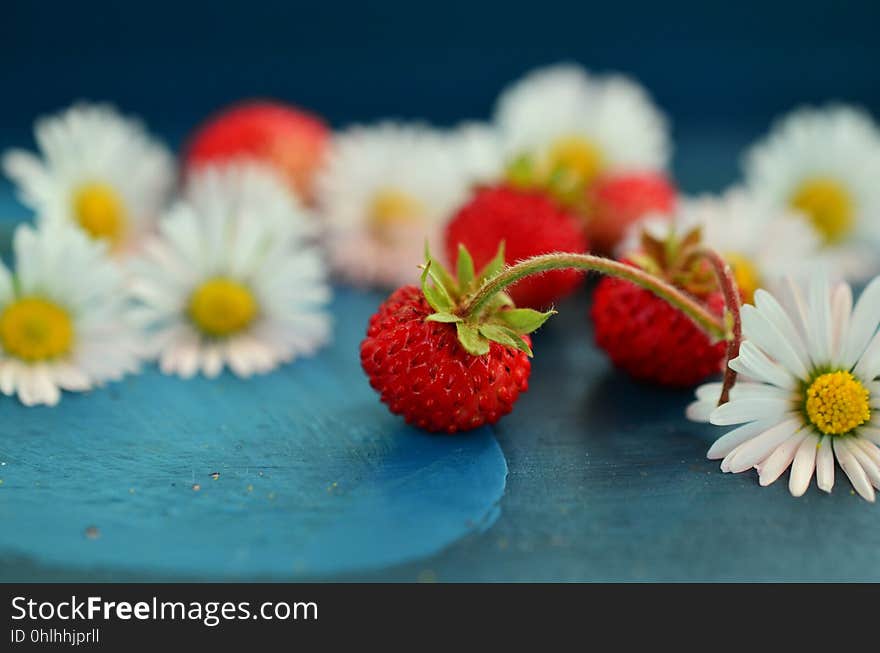 Strawberry, Strawberries, Sweetness, Still Life Photography