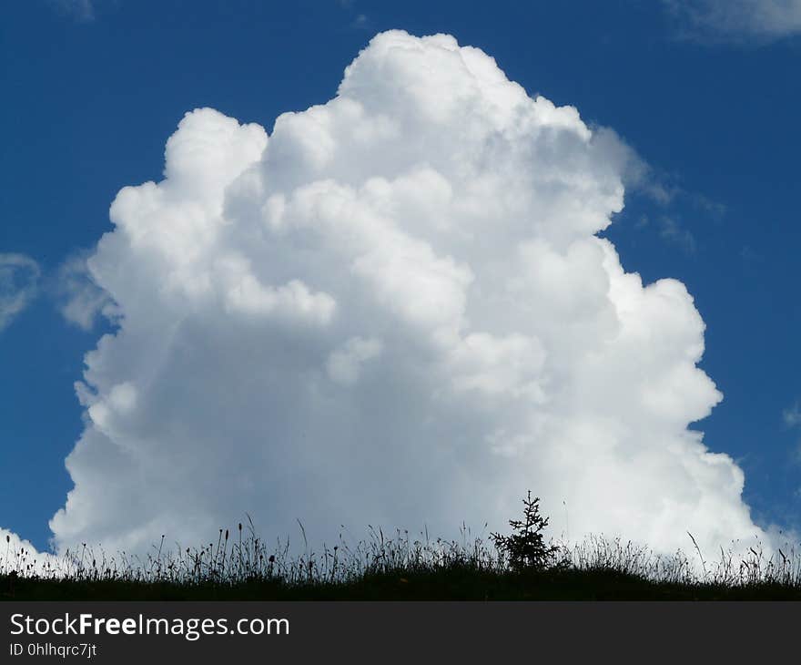 Cloud, Sky, Cumulus, Daytime