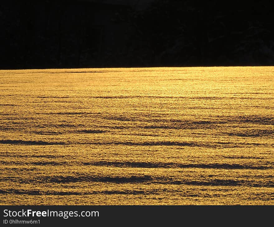 Yellow, Sky, Horizon, Wood