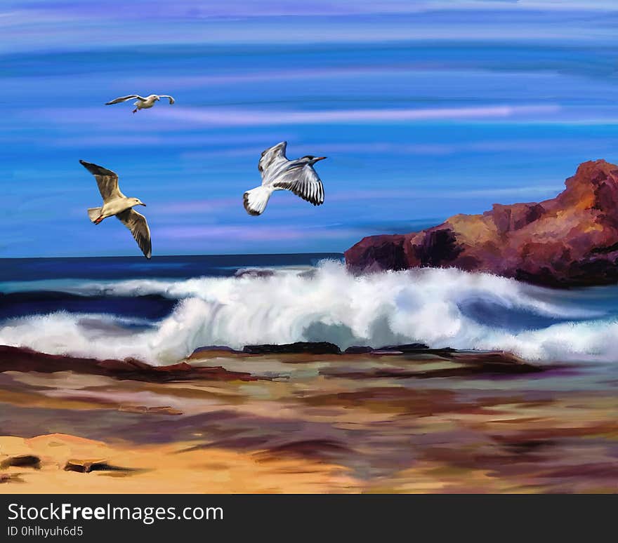 Sky, Sea, Seabird, Wave