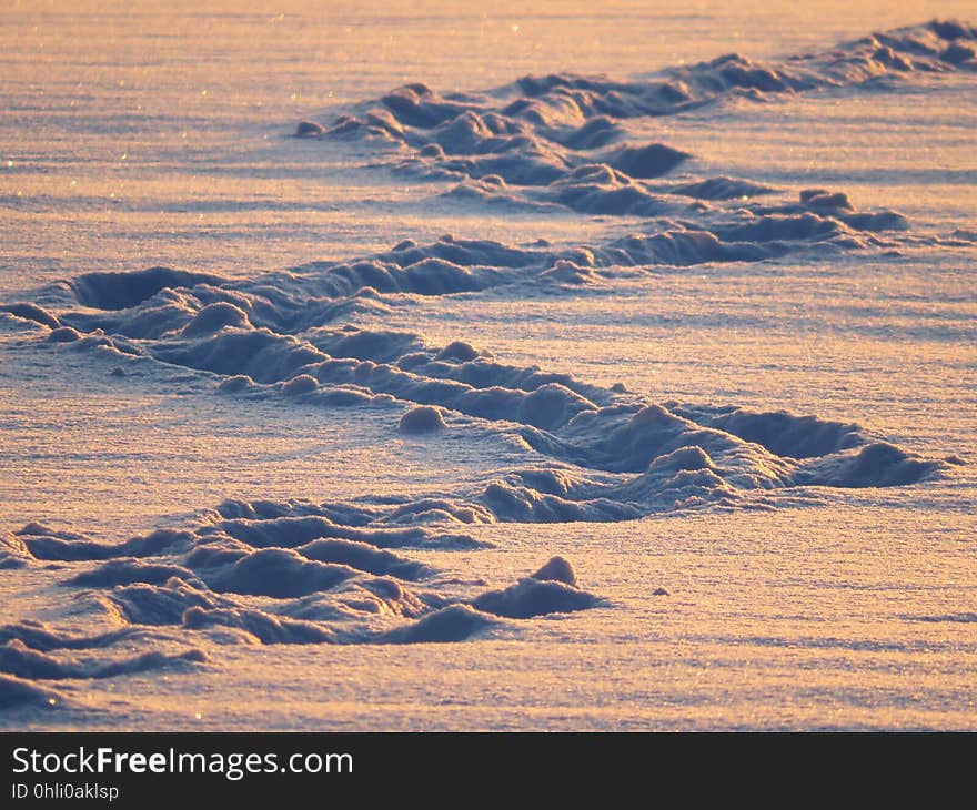 Ecosystem, Tundra, Sky, Arctic