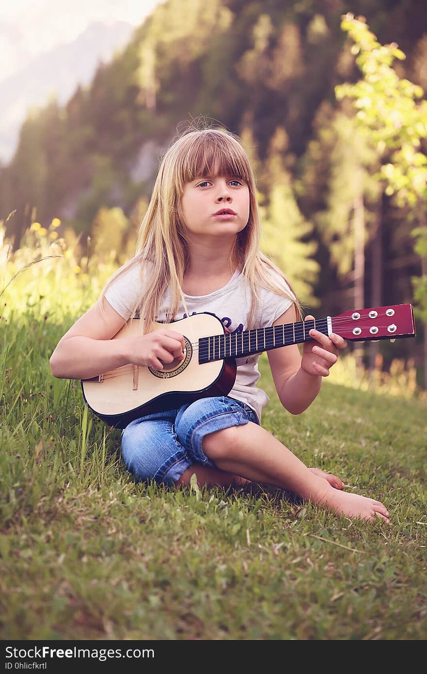 Photograph, Nature, Sitting, Grass