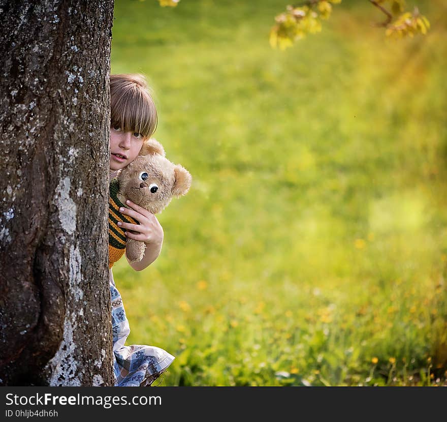 Mammal, Vertebrate, Tree, Leaf