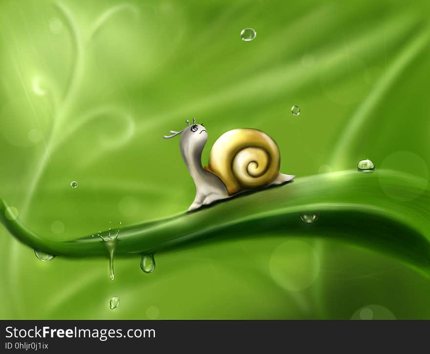 Green, Snails And Slugs, Snail, Leaf