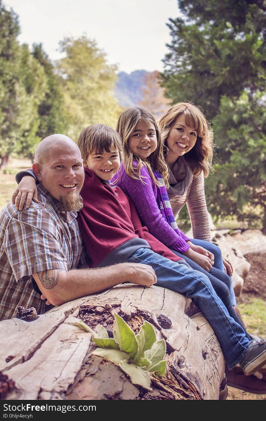 People, Photograph, Social Group, Tree