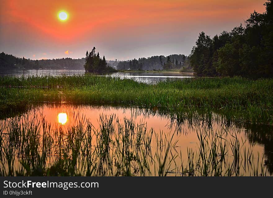 Reflection, Nature, Nature Reserve, Wetland