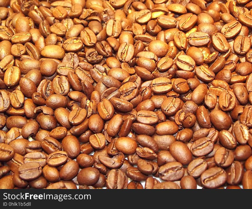 Jamaican Blue Mountain Coffee, Bean, Commodity, Nuts & Seeds