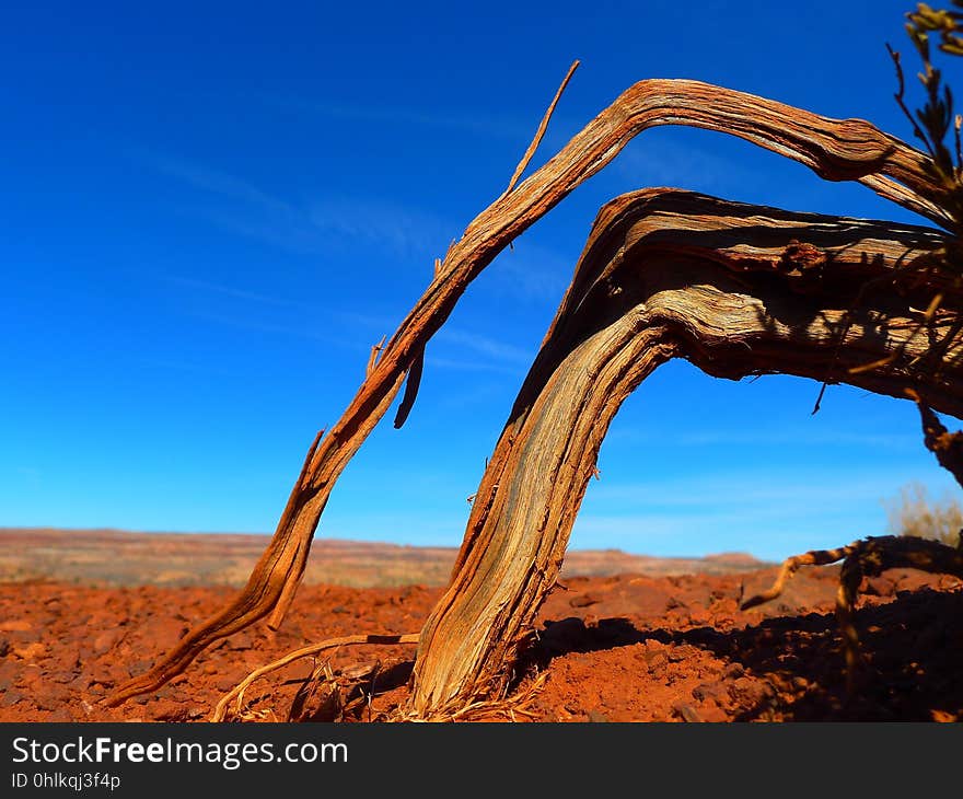 Sky, Rock, Formation, Tree