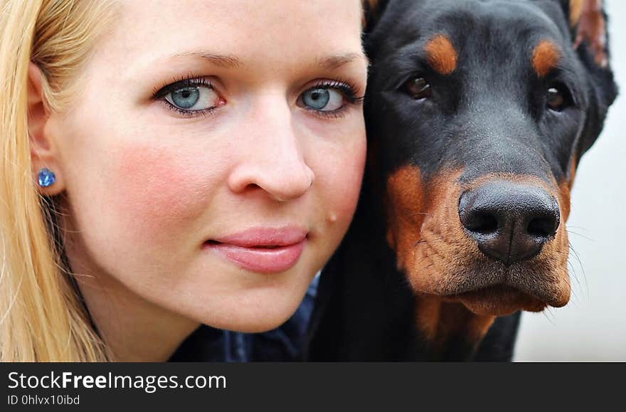 Dog, Dog Breed, Dog Like Mammal, Nose