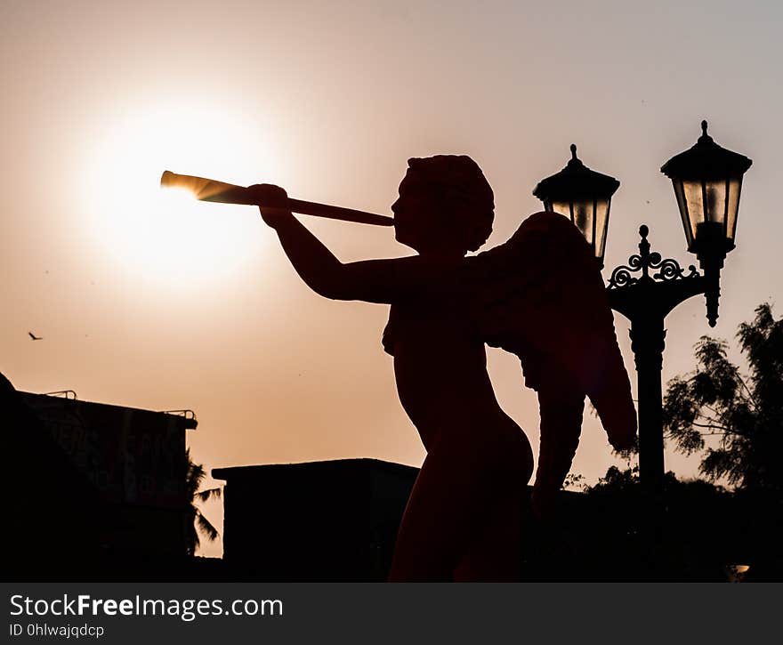 Silhouette, String Instrument, Performance Art, Musical Instrument