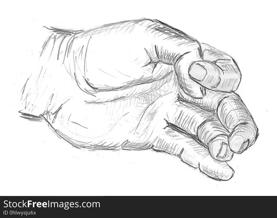 Hand, Line Art, Mammal, Finger