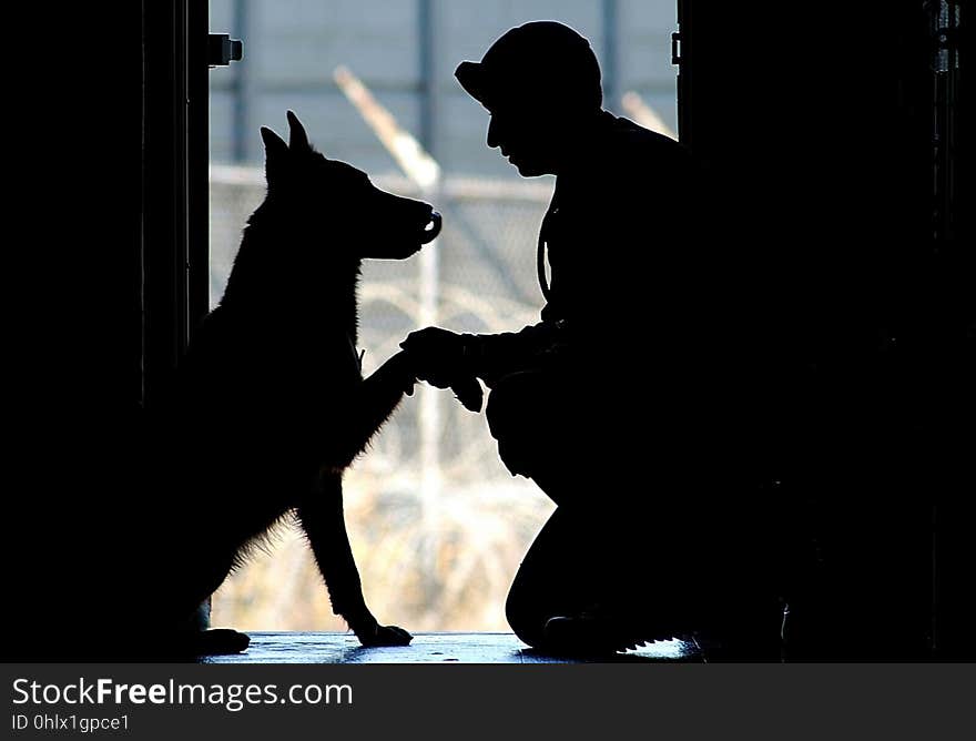 Silhouette, Shadow, Black And White, Darkness