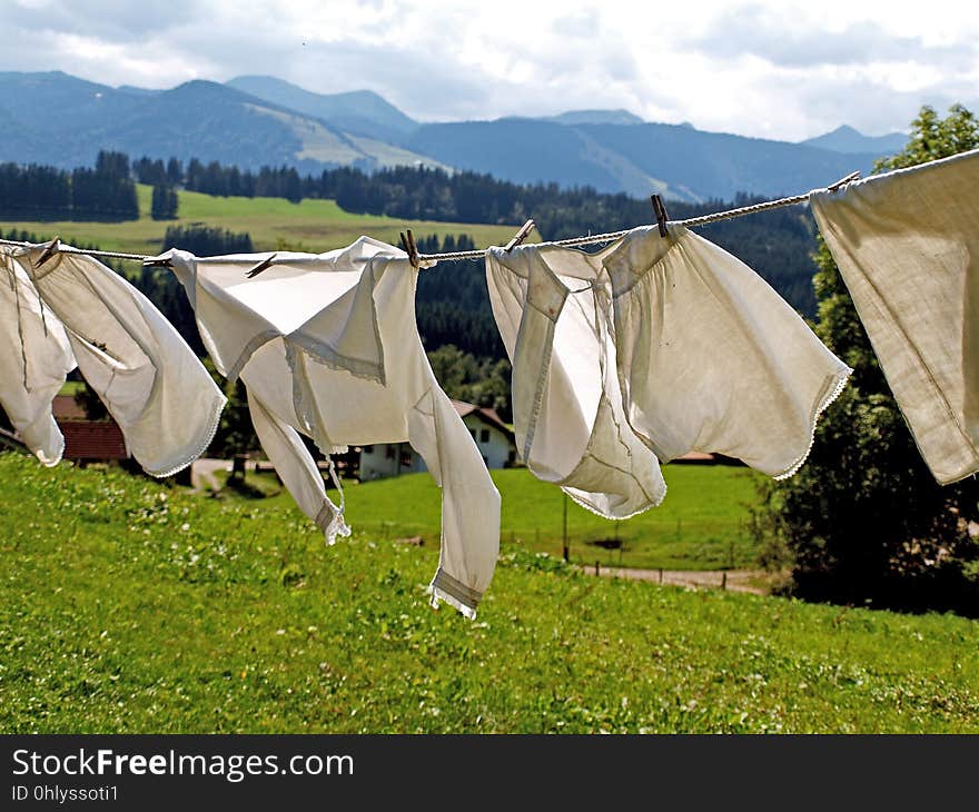 Tent, Grass, Camping, Meadow