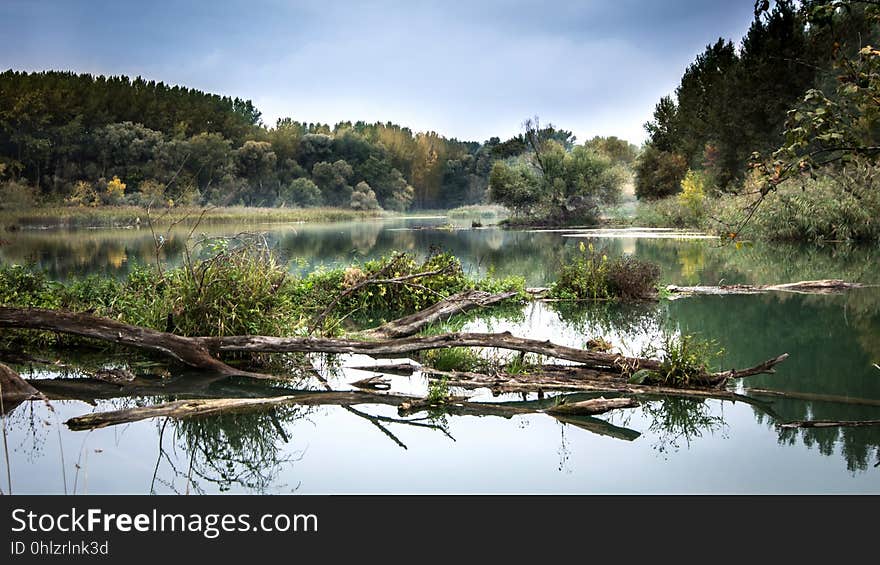 Reflection, Water, Nature, Lake